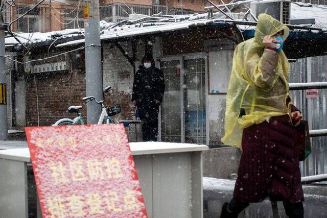 北京迎鼠年第一场雪  组图