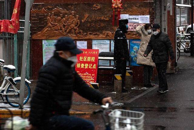 北京迎鼠年第一场雪  组图