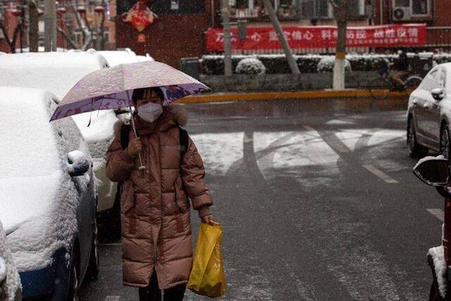 北京迎鼠年第一场雪  组图