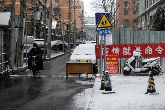 北京迎鼠年第一场雪  组图