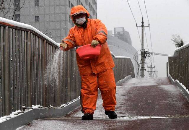 北京迎鼠年第一场雪  组图