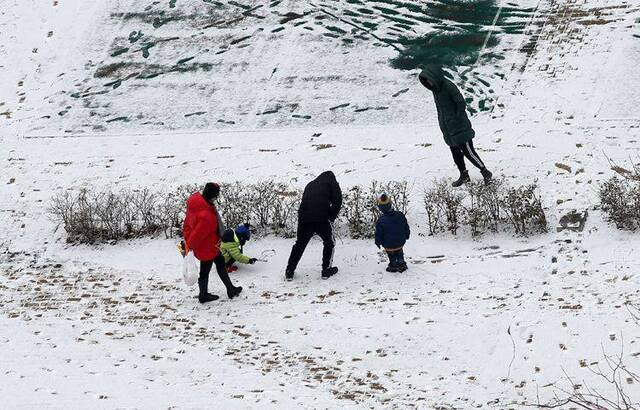 北京迎鼠年第一场雪  组图