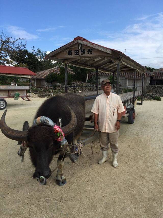 到此一游 坐牛车晃晃悠悠转小岛，村落保留最早模样