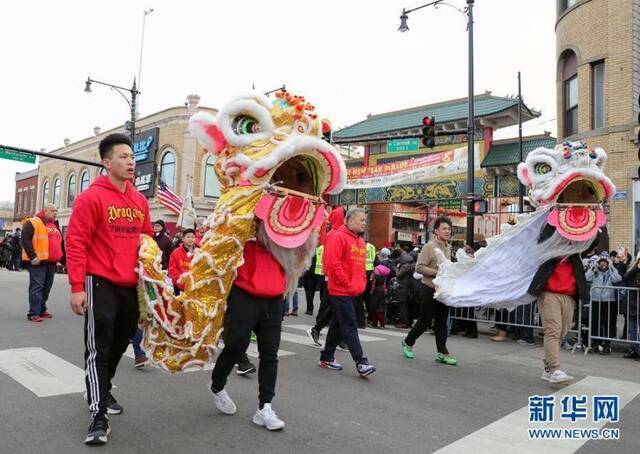 美国芝加哥唐人街举行春节游行活动