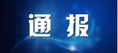 浙江乐清副市长陈微燕等3人疫情防控失职失责被处分