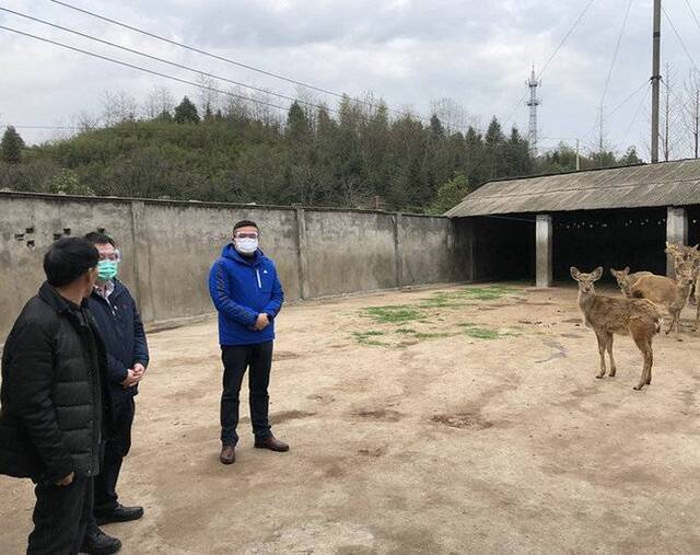 龙游县积极开展野生动物疫源疫病防控专项检查