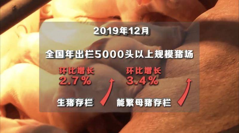 @所有农民：2020年中央一号文件发布，今年要为乡亲们办这些实事