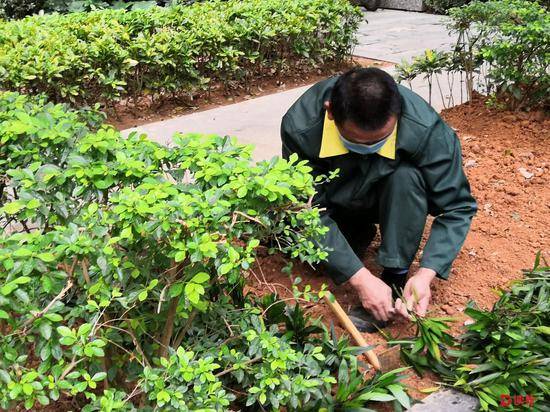 广东建全球防护物资快速响应机制 350万口罩到位