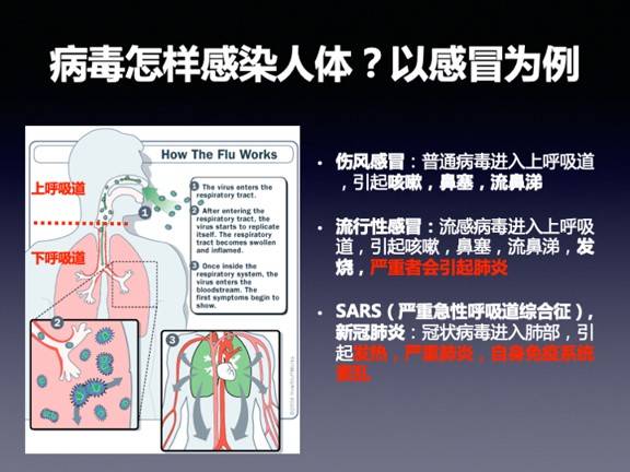 流感并发症死亡率不低，为何我们不恐惧？