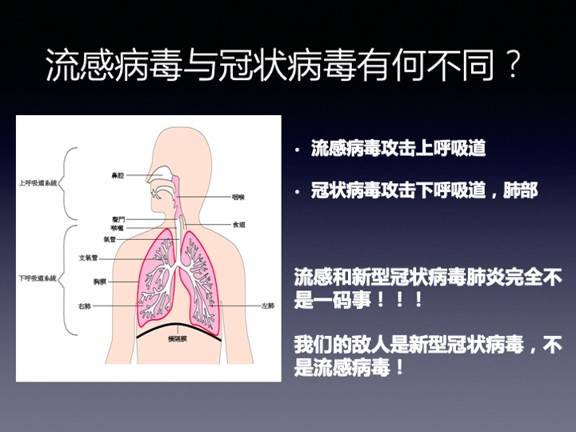 流感并发症死亡率不低，为何我们不恐惧？