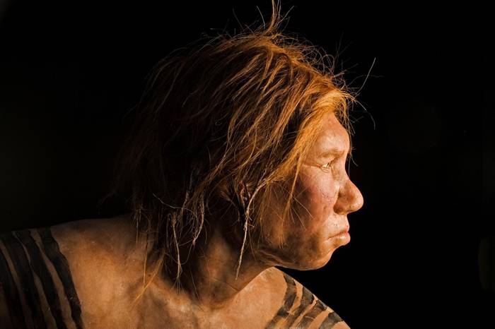 随着科学家从广泛的非洲人口中发现尼安德特人（Neanderthal）祖源，目前所有曾被研究过的人群身上都已找到古老的混种痕迹。新研究在强调过去之复杂的同时也凸