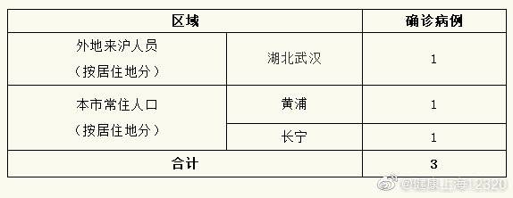 上海新增3例新冠肺炎确诊病例 累计306例