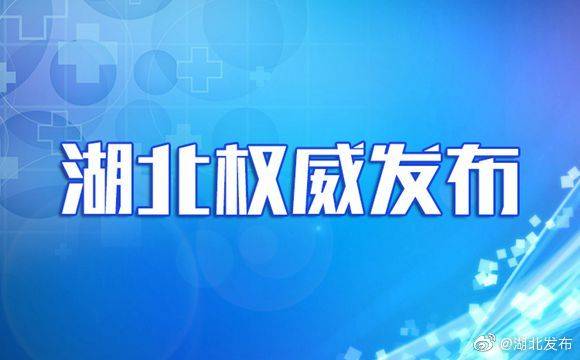 湖北居民健康信息登记系统上线 手机填报“到户到人”