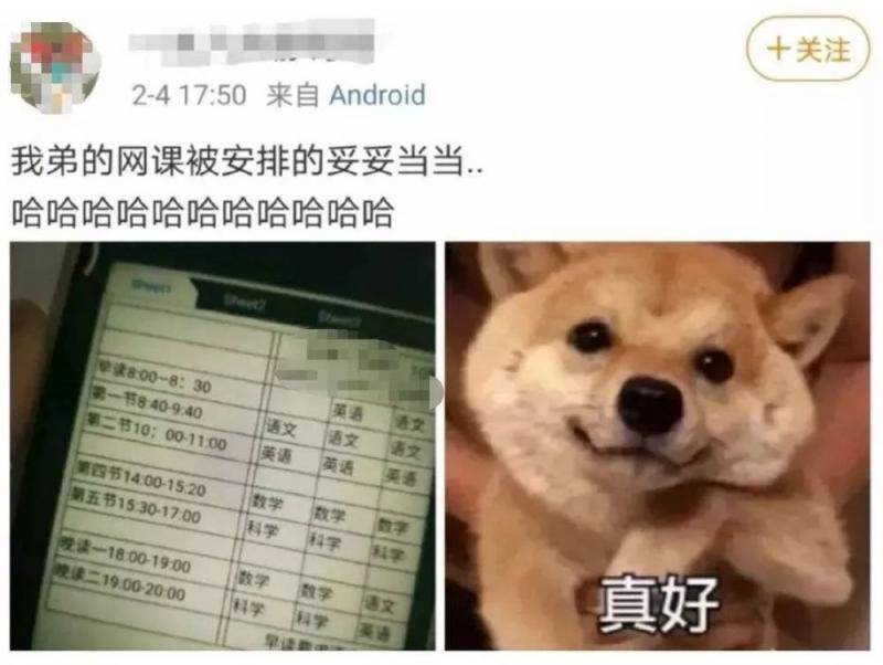 学生网课安排，图源微博