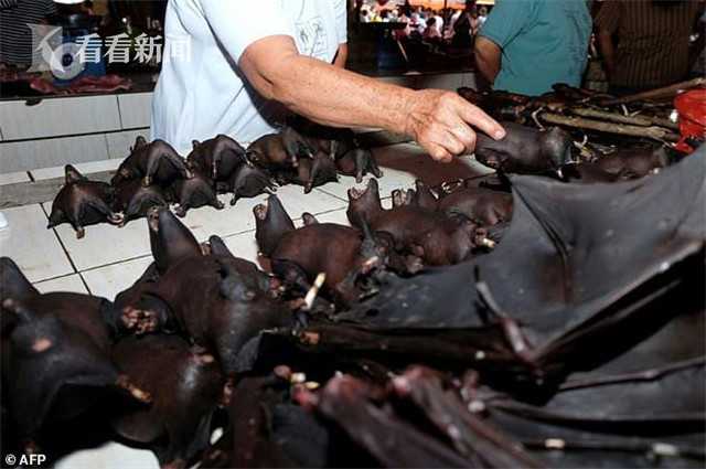 不要命！印尼蝙蝠仍在热卖 商家：游客更多了