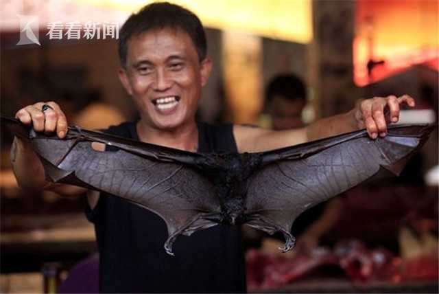 不要命！印尼蝙蝠仍在热卖 商家：游客更多了