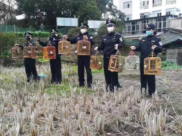 福建全面禁止野生动物交易！林业部门春节期间查处多起案件！