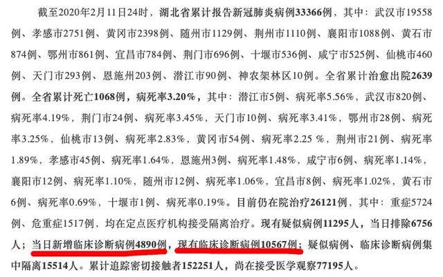 湖北新增病例破万 这个令人震惊的数字反映啥变化