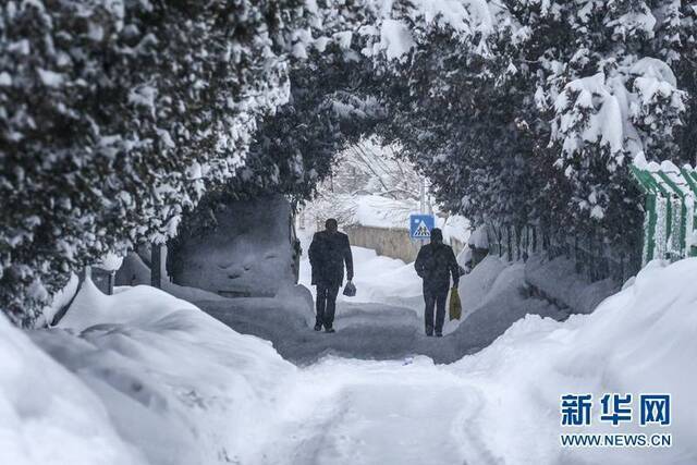 土耳其凡城大雪纷飞 积雪深度超1米