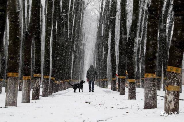 北京都下今冬第七场雪了，离我们见面的日子还会远吗？