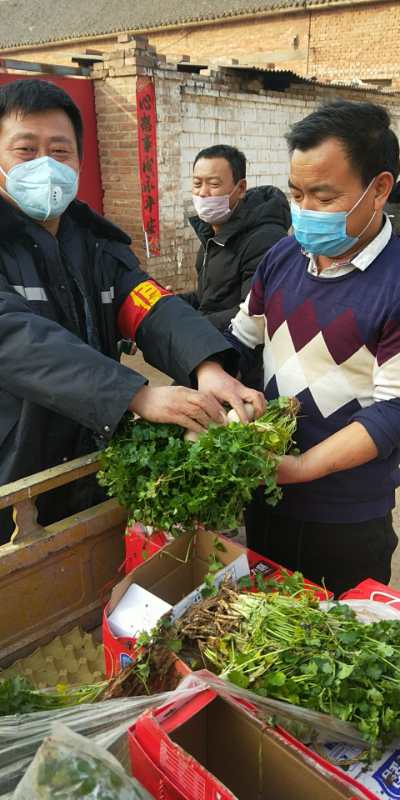 这个村支书把自家滞销的20万斤香菜送给了全县人