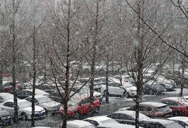 雪落京城（一） 北京今晨雨夹雪 白天有中到大雪