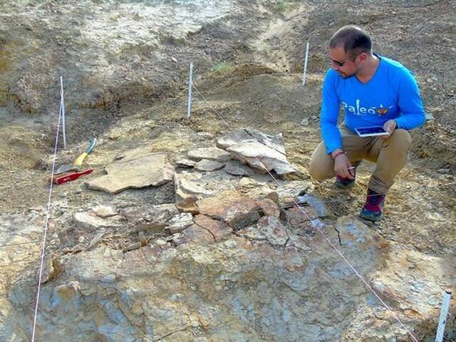 南美洲发现1公吨重巨型地纹骇龟化石Stupendemys geographicus下颚构造还能吃鳄鱼