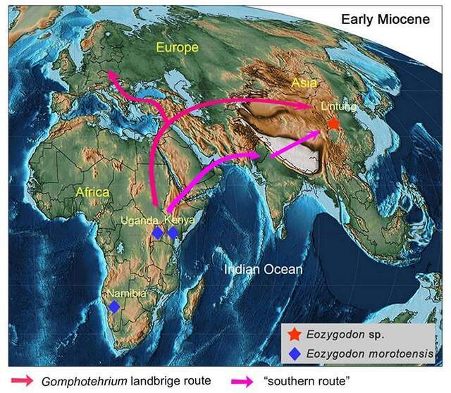 始轭齿象类从非洲向欧亚扩散的两条路线假说（张晓晓供图）