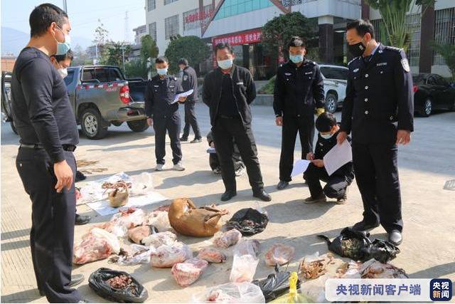 云南公安集中销毁一批野生动物死体及制品