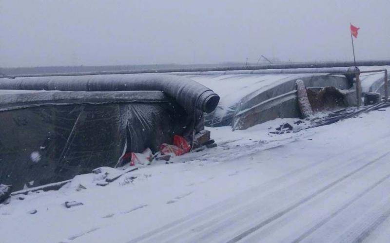 莒南县下起了小雪。受访者供图