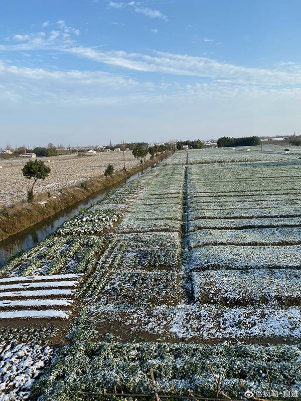  2020年2月15日，上海下雪。图为2月16日的积雪。网友图