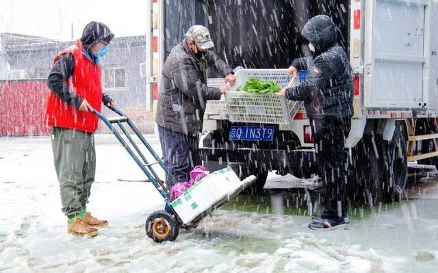 启用太阳能给大棚加温 顺义李桥特菜基地加紧蔬菜供应