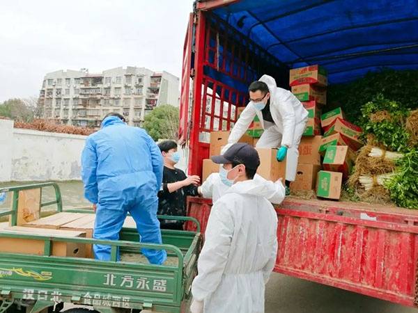 基建狂魔10万斤蔬菜运抵抗疫一线