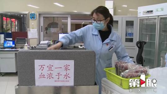 重庆调拨1000袋共20万毫升血浆增援湖北医疗用血