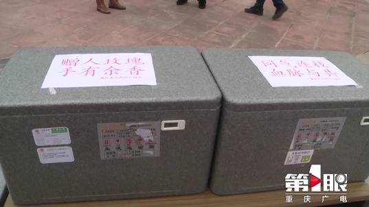 重庆调拨1000袋共20万毫升血浆增援湖北医疗用血