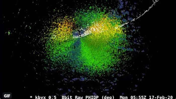 美国气象学家深夜在基维斯特岛雷达上发现由古巴飞往美国绵延145公里的鸟群