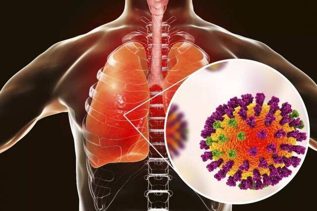 最新研究：新冠病毒系自然进化产物而非人为制造