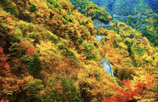 湖北所有A级旅游景区5年内对驰援湖北医疗队员免门票