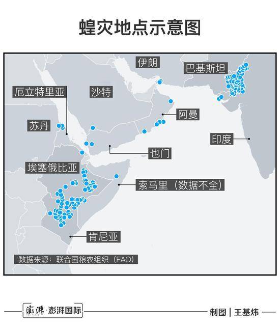 70年一遇的蝗灾席卷东非，联合国为什么筹不到援助？