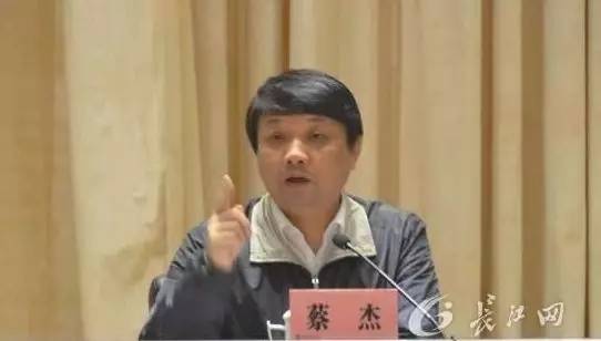 一个重量级武汉官员，被开除党籍和公职