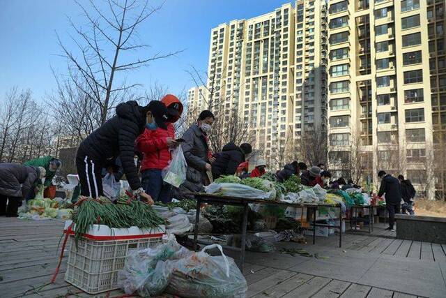 朝阳区新天地小区来了“蔬菜直通车” 组图