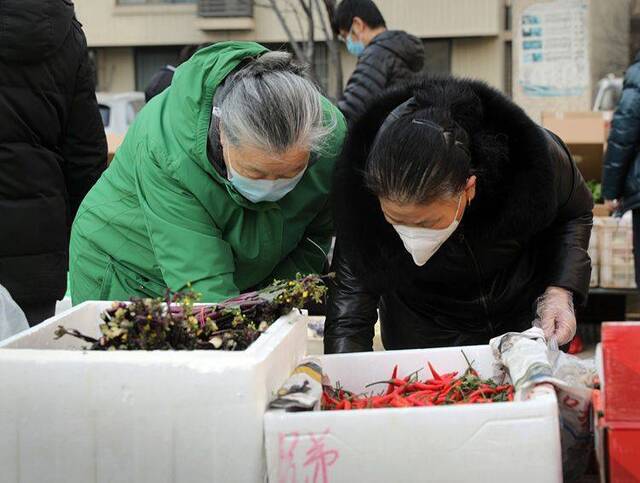 朝阳区新天地小区来了“蔬菜直通车” 组图