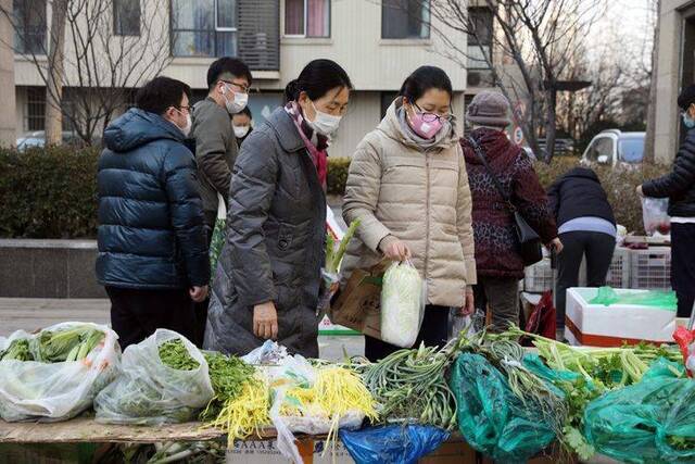 朝阳区新天地小区来了“蔬菜直通车” 组图