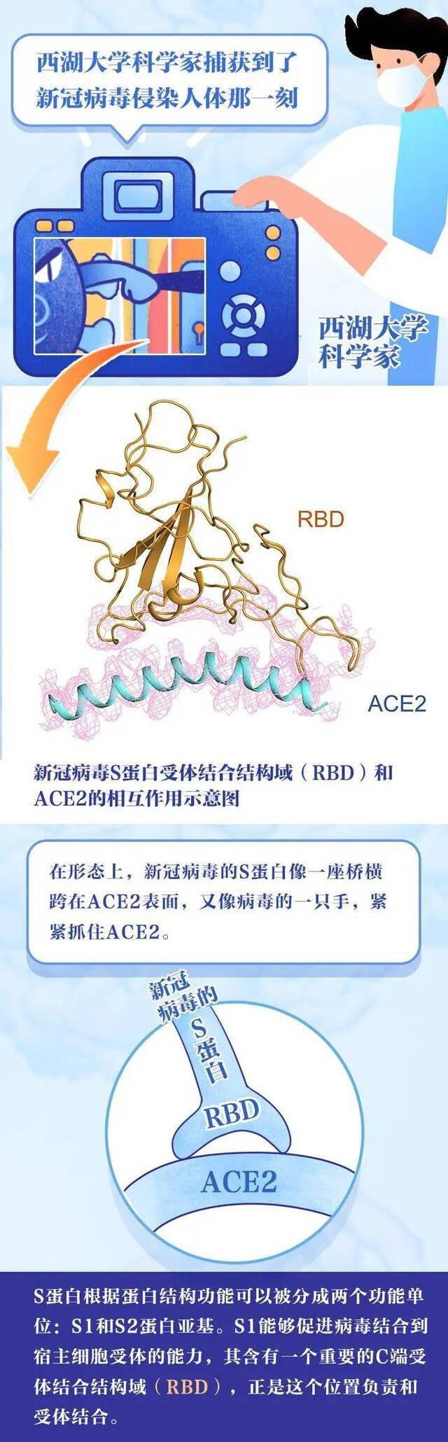 浙江：首批疫苗动物实验已产生抗体