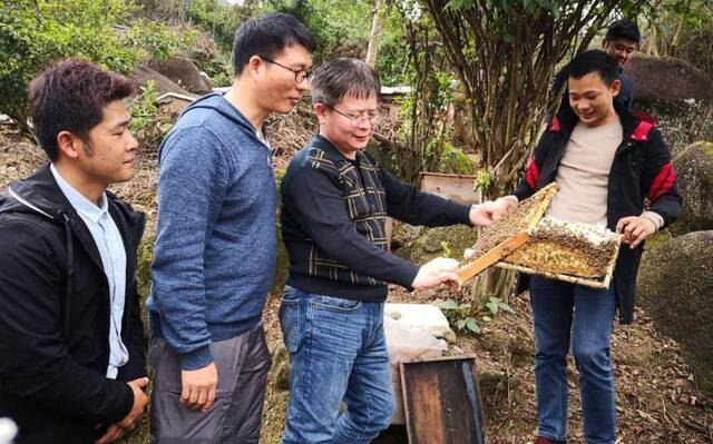 疫情下无法“追花夺蜜”的蜂农：今年谁来给油菜花授粉