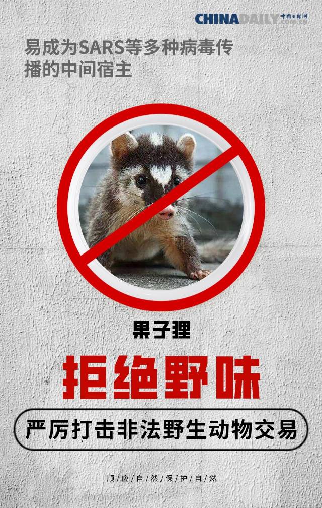 全面禁止非法野生动物交易 刻不容缓