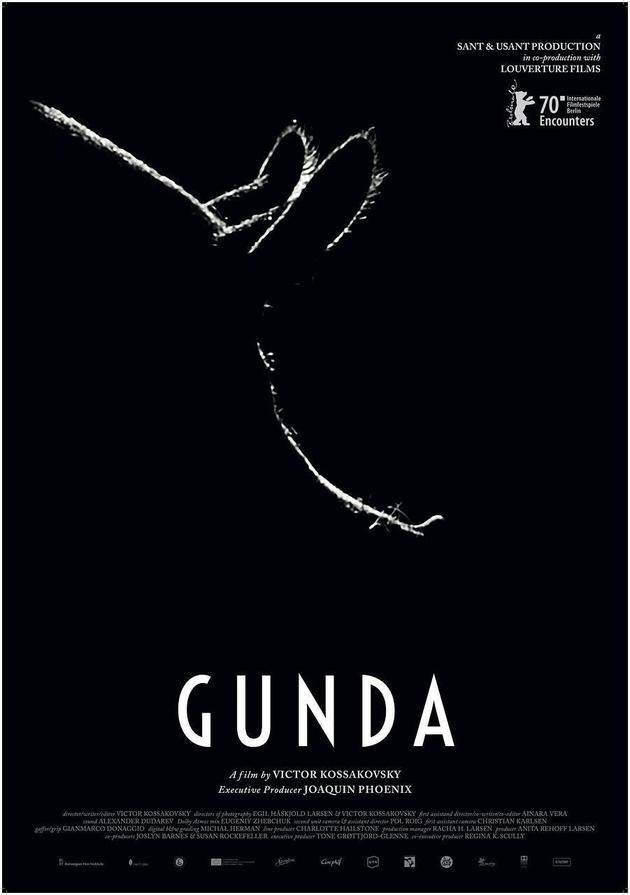 《贡达Gunda》: 看完神片， 你会爱上老母猪