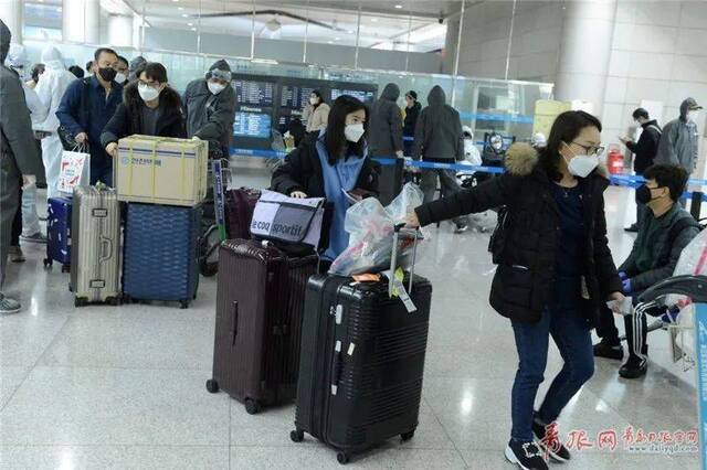  2月25日，由韩国抵达青岛流亭国际机场的乘客在完成相关登记手续后分区市离开。记者傅学军摄