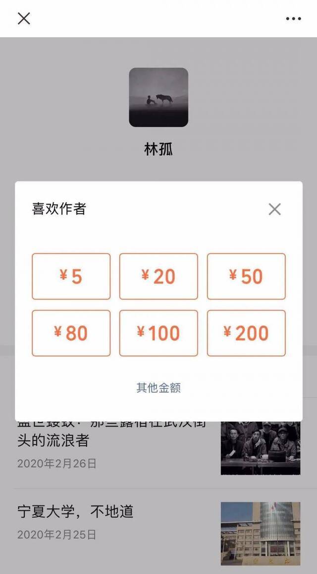 “林孤小姐”公众号的打赏页面