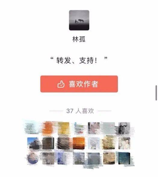 “林孤小姐”微信公众号打赏页面“林孤小姐”微信公众号商务合作页面